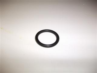 GLOWWORM S208068 O RING 25IDX4.0MM SECT