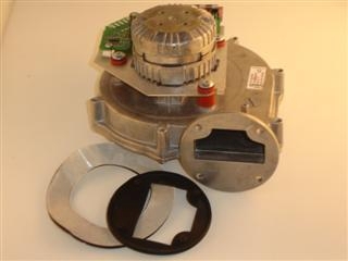 GLOWWORM FAN (037242)