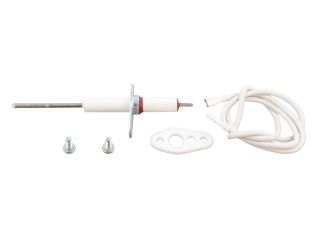 VAILLANT 090743 ELECTRODE, CPL. (MONITORING)