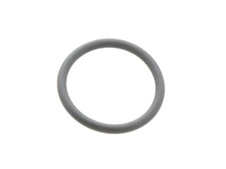 BIASI BI1253105 2.62 X 22.22 O-RING
