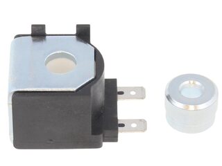 Riello RBS117 Coil