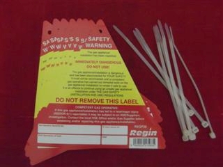 REGIN REGP38 SAFETY WARNING - IMMEDIATELY DANGEROUS STICKER/TAG (8)