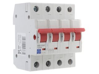 LEWDEN EMS-1254P 125A 4P MAIN SWITCH