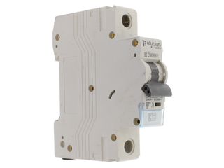 ELUCIAN CU1MCB63B 1 POLE TRUE 6KA B CURVE 63A MCB